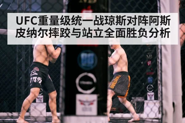 MMA octagon cage fight